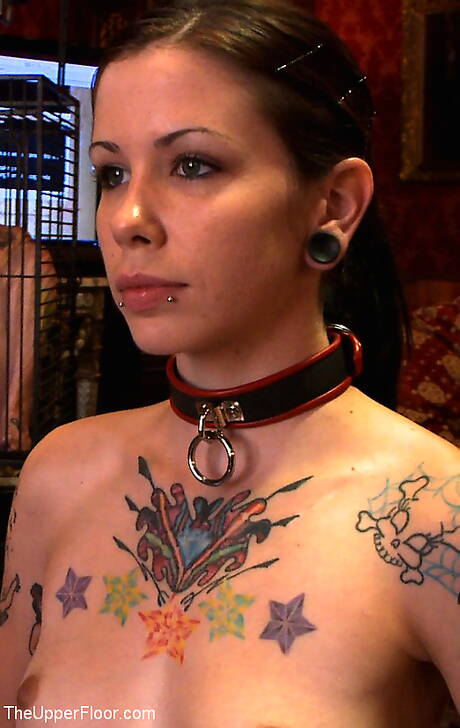 The Upper Floor are pleased to offer you a free pictures featuring Krysta Kaos, Nerine Mechanique and Sparky Sin Claire xxx gallery 279700